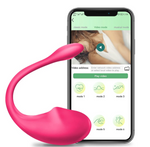 APP Control Vibrators