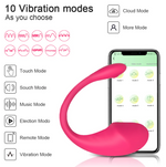 APP Control Vibrators