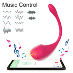 APP Control Vibrators