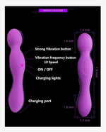 Demi Dual Head Vibrating Wand Massager